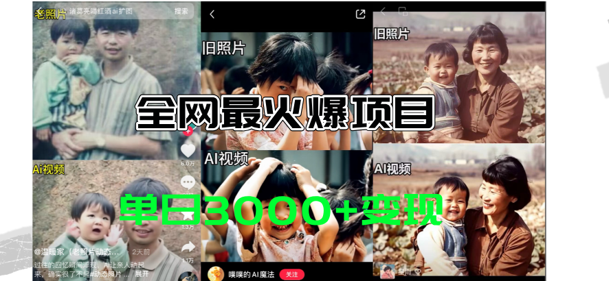 （11546期）全网爆火的AI让老照片动起来教程，蹭热点日赚3000+，内含免费工具一键…-屈原聊项目