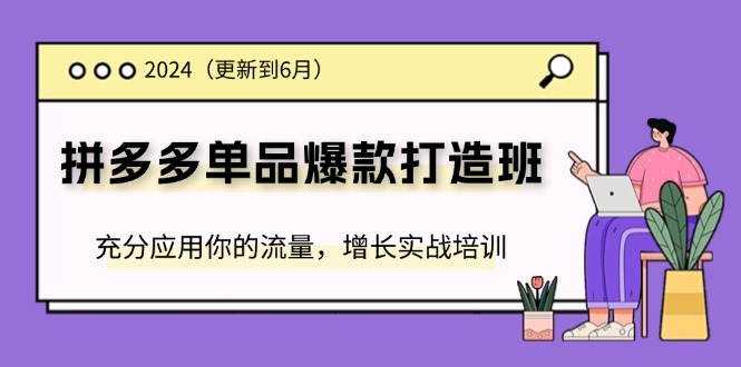 （11556期）2024拼多多-单品爆款打造班(更新6月)，充分应用你的流量，增长实战培训-屈原聊项目