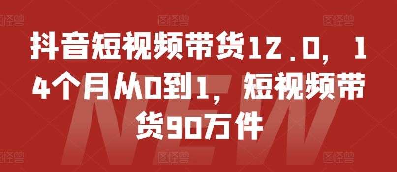 抖音短视频带货12.0，14个月从0到1，短视频带货90万件-屈原聊项目
