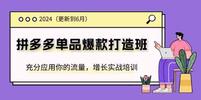 2024拼多多单品爆款打造班，充分应用你的流量，增长实战培训(更新6月)-屈原聊项目