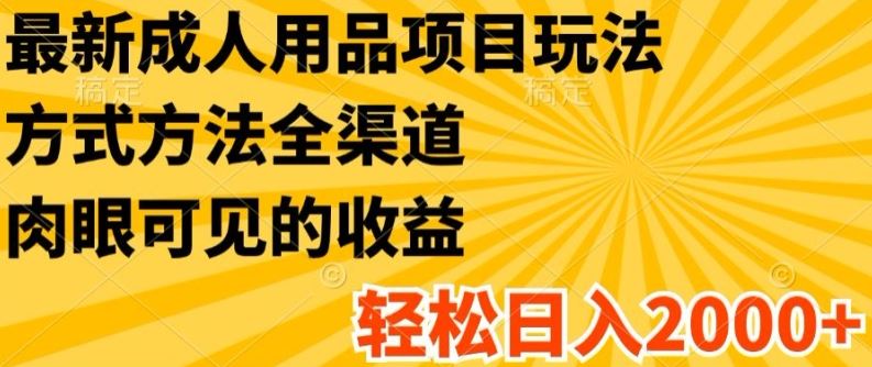 最新成人用品项目玩法，方式方法全渠道，轻松日入2K+【揭秘】-屈原聊项目