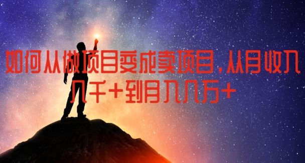 如何从做项目变成卖项目，从月收入几千到月入几万【揭秘】-屈原聊项目