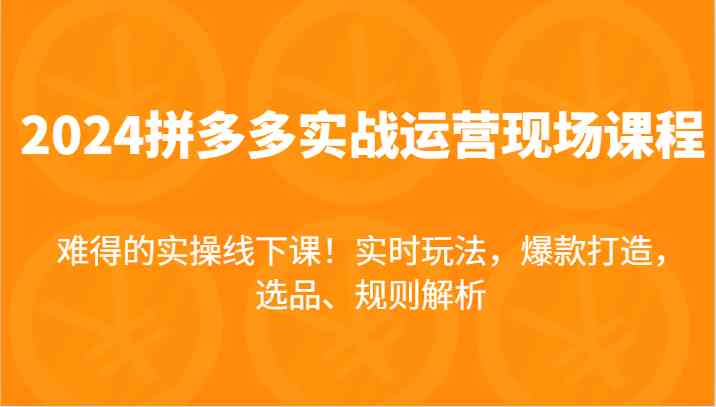 2024拼多多实战运营现场课，实时玩法，爆款打造，选品、规则解析，难得的实操线下课！-屈原聊项目