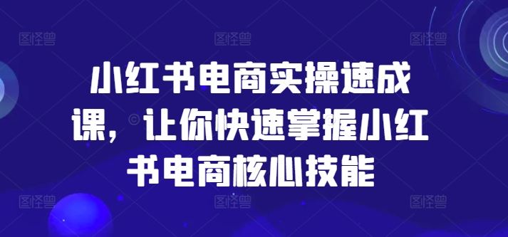 小红书电商实操速成课，让你快速掌握小红书电商核心技能-屈原聊项目