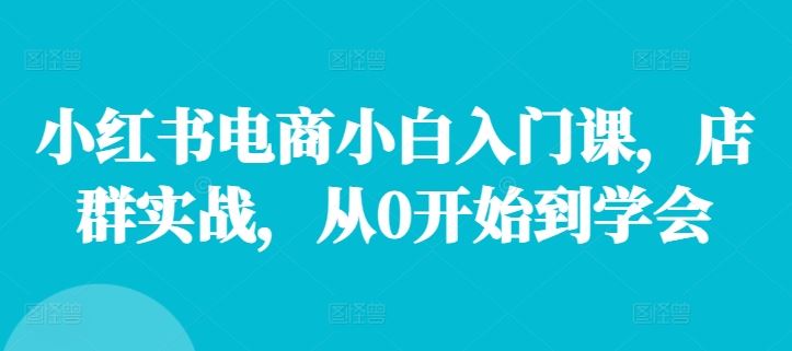 小红书电商小白入门课,店群实战,从0开始到学会-屈原聊项目