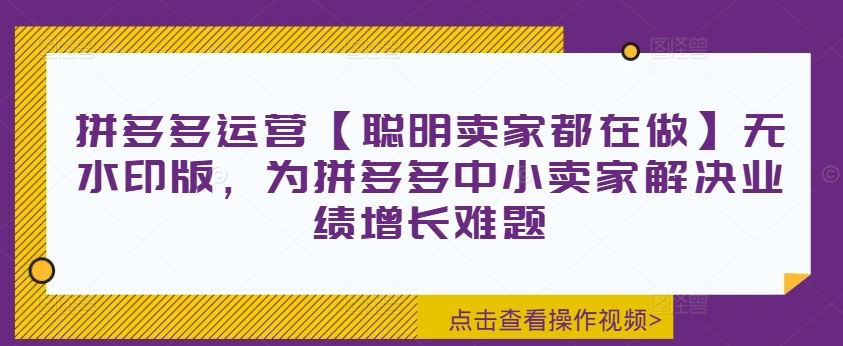 拼多多运营【聪明卖家都在做】无水印版，为拼多多中小卖家解决业绩增长难题-屈原聊项目