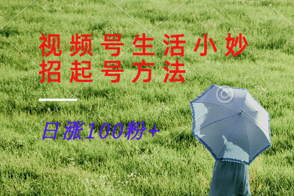 视频号生活小妙招分享赛道， 起号涨粉新方法，日涨100粉-屈原聊项目