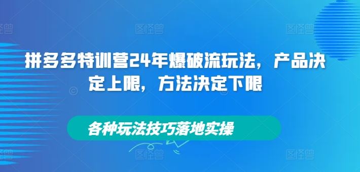 拼多多特训营24年爆破流玩法，产品决定上限，方法决定下限，各种玩法技巧落地实操-屈原聊项目