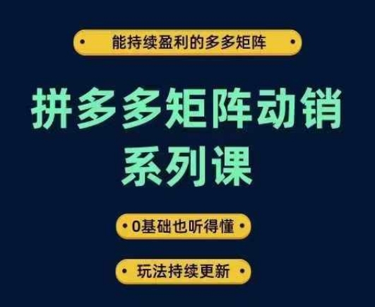 拼多多矩阵动销系列课，能持续盈利的多多矩阵，0基础也听得懂，玩法持续更新-屈原聊项目