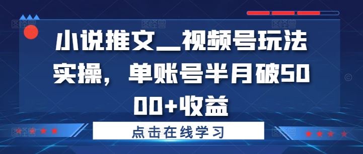 小说推文—视频号玩法实操，单账号半月破5000+收益-屈原聊项目