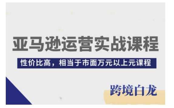 亚马逊运营实战课程，亚马逊从入门到精通，性价比高，相当于市面万元以上元课程-屈原聊项目