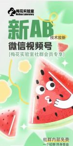 梅花实验室2024年AB技术视频号AB合成破解版-屈原聊项目