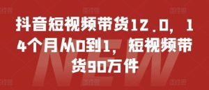 抖音短视频带货12.0,14个月从0到1,短视频带货90万件-屈原聊项目