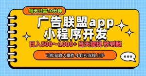 (11645期)小程序开发 广告赚钱 日入500~1000+ 小白轻松上手!-屈原聊项目