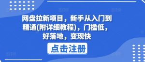 网盘拉新项目，新手从入门到精通(附详细教程)，门槛低，好落地，变现快-屈原聊项目