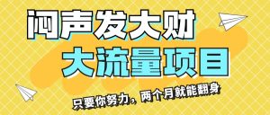 (11688期)闷声发大财,大流量项目,月收益过3万,只要你努力,两个月就能翻身-屈原聊项目