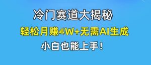 冷门赛道大揭秘，轻松月赚1W+无需AI生成，小白也能上手【揭秘】-屈原聊项目