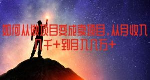 如何从做项目变成卖项目,从月收入几千到月入几万【揭秘】-屈原聊项目