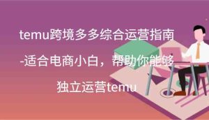 temu跨境多多综合运营指南-适合电商小白,帮助你能够独立运营temu(44节)-屈原聊项目