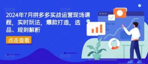 2024年7月拼多多实战运营现场课程，实时玩法，爆款打造，选品、规则解析-屈原聊项目