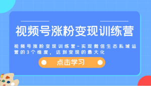 视频号涨粉变现训练营-实现微信生态私域运营的3个维度，达到变现的最大化-屈原聊项目