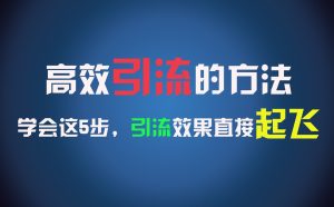 高效引流的方法,可以帮助你日引300+创业粉,一年轻松收入30万,比打工强太多!-屈原聊项目