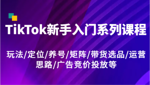 TikTok新手入门系列课程，玩法/定位/养号/矩阵/带货选品/运营思路/广告竞价投放等-屈原聊项目