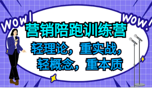 营销陪跑训练营,轻理论,重实战,轻概念,重本质,适合中小企业和初创企业的老板-屈原聊项目