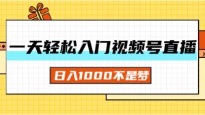 (11906期)一天入门视频号直播带货,日入1000不是梦-屈原聊项目