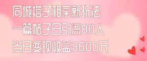 同城搭子相亲新玩法一篇帖子引流80人当日变现3600元(项目教程+实操教程)【揭秘】-屈原聊项目