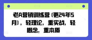 老A营销训练营(更24年7月)，轻理论，重实战，轻概念，重本质-屈原聊项目