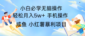 全网首发2024最暴利手机操作项目，简单无脑操作，每单利润最少500+-屈原聊项目