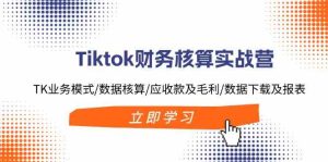 Tiktok财务核算实战营：TK业务模式/数据核算/应收款及毛利/数据下载及报表-屈原聊项目