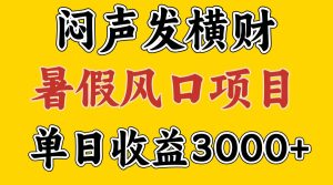 30天赚了7.5W 暑假风口项目,比较好学,2天左右上手-屈原聊项目