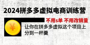 (12024期)2024拼多多虚拟电商训练营 不s单 不改销量 做虚拟项目分一杯羹(更新10节)-屈原聊项目