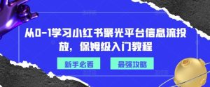 从0-1学习小红书聚光平台信息流投放，保姆级入门教程-屈原聊项目