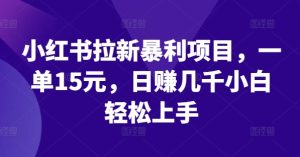 小红书拉新暴利项目,一单15元,日赚几千小白轻松上手-屈原聊项目