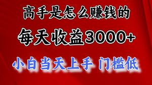 (12144期)1天收益3000+,月收益10万以上,24年8月份爆火项目-屈原聊项目