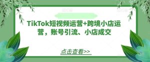 TikTok短视频运营+跨境小店运营,账号引流、小店成交-屈原聊项目