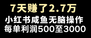 七天赚了2.7万！每单利润最少500+，轻松月入5万+小白有手就行-屈原聊项目
