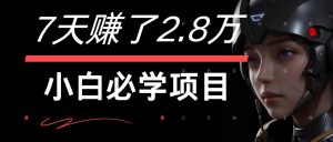 7天赚了2.8万!每单利润最少500+,轻松月入7万+小白有手就行-屈原聊项目