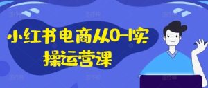 小红书电商从0-1实操运营课,小红书手机实操小红书/IP和私域课/小红书电商电脑实操板块等-屈原聊项目