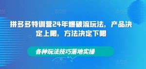 拼多多特训营24年爆破流玩法,产品决定上限,方法决定下限,各种玩法技巧落地实操-屈原聊项目