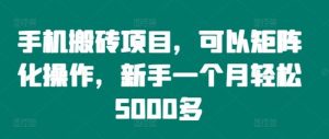 手机搬砖项目,可以矩阵化操作,新手一个月轻松5000多-屈原聊项目