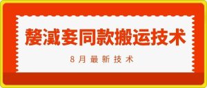 抖音96万粉丝账号【嫠㵄㚣】同款搬运技术-屈原聊项目