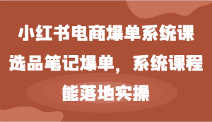 小红书电商爆单系统课-选品笔记爆单,系统课程,能落地实操-屈原聊项目