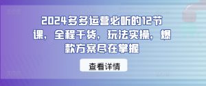 2024多多运营必听的12节课,全程干货,玩法实操,爆款方案尽在掌握-屈原聊项目