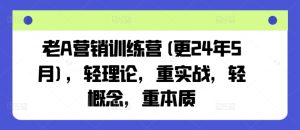 老A营销训练营(更24年9月),轻理论,重实战,轻概念,重本质-屈原聊项目