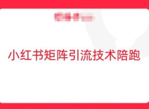 小红书矩阵引流技术,教大家玩转小红书流量-屈原聊项目