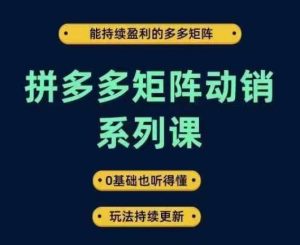 拼多多矩阵动销系列课,能持续盈利的多多矩阵,0基础也听得懂,玩法持续更新-屈原聊项目